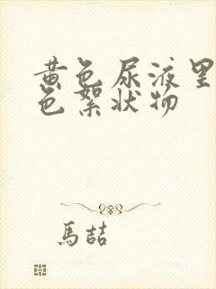 黄色尿液里有白色絮状物