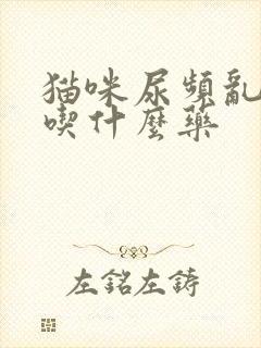 猫咪尿频乱尿,吃什么药