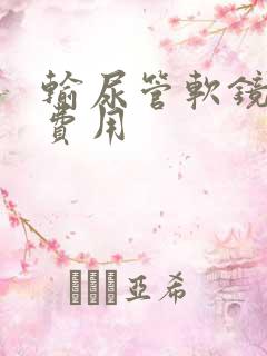 输尿管软镜碎石费用