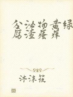 分泌物黄绿色豆腐渣瘙痒