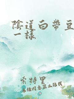 阴道白带豆腐渣一样