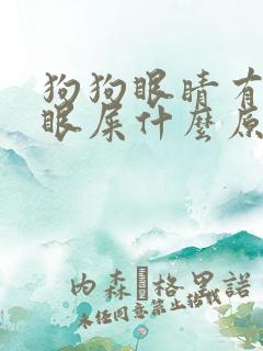 狗狗眼睛有脓的眼屎什么原因