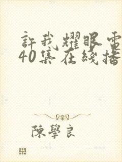 许我耀眼电视剧40集在线播放免费