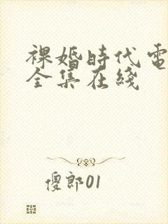 裸婚时代电视剧全集在线