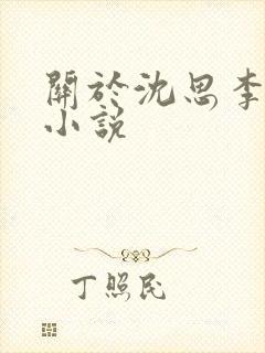 关于沈思李兵的小说