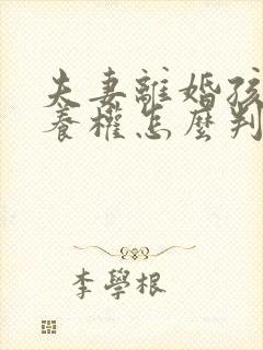 夫妻离婚孩子抚养权怎么判定一个孩子