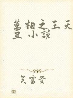 万相之王天蚕土豆 小说