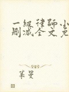 一级律师小说未删减全文免费阅读