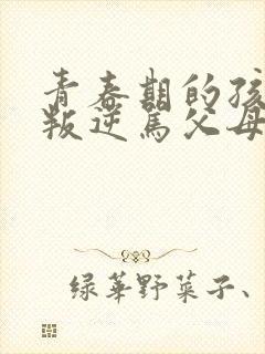 青春期的孩子太叛逆骂父母怎么办