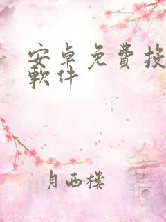 安卓免费投屏的软件