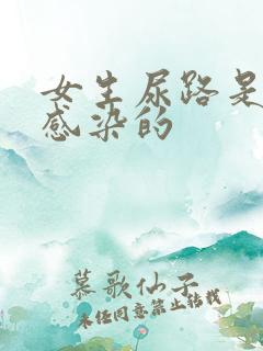 女生尿路是怎么感染的