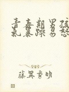 青春期男孩子脾气暴躁易怒吃什么药