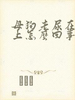 母狗老尿在后腿上怎么回事