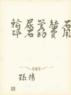 输尿管结石体外碎石的费用