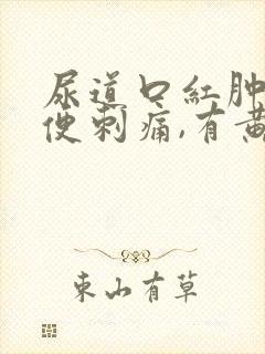 尿道口红肿,小便刺痛,有黄色分泌物