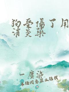 狗受伤了用什么消炎药