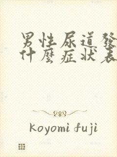 男性尿道发炎有什么症状表现