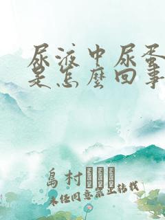 尿液中尿蛋白高是怎么回事