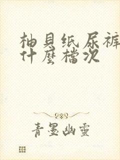 柚贝纸尿裤属于什么档次