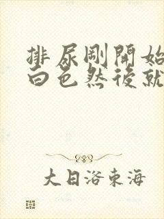 排尿刚开始有乳白色然后就正常了