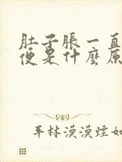 肚子胀一直想小便是什么原因