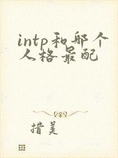 intp和哪个人格最配