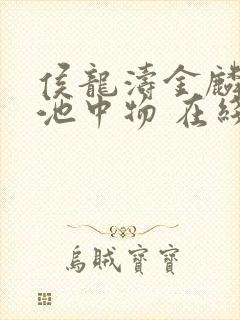 侯龙涛金麟岂是池中物 在线阅读