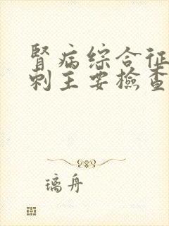 肾病综合征做穿刺主要检查什么