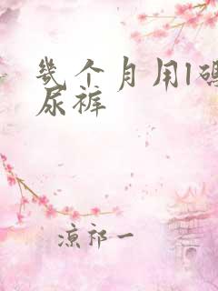 几个月用l码纸尿裤