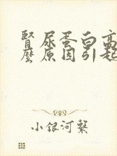 肾尿蛋白高是什么原因引起的