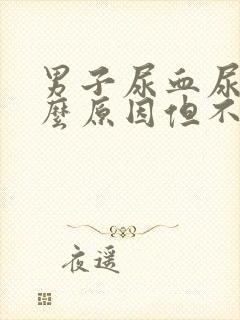 男子尿血尿是什么原因但不疼