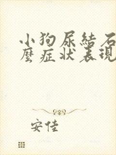 小狗尿结石是什么症状表现