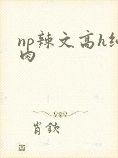 np辣文高h纯肉