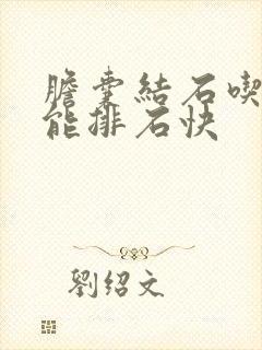 胆囊结石吃啥药能排石快