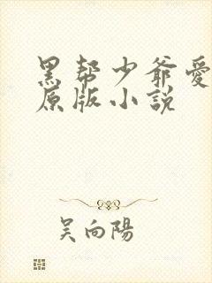 黑帮少爷爱上我原版小说