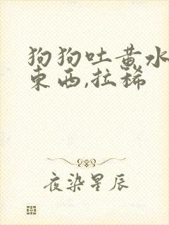 狗狗吐黄水不吃东西,拉稀