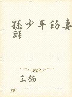 孙少平的妻子是谁