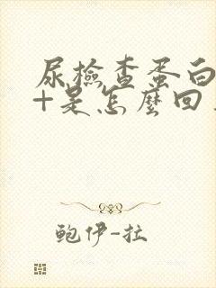 尿检查蛋白质1+是怎么回事