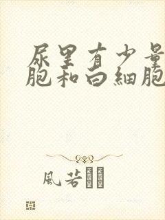 尿里有少量红细胞和白细胞,正常吗