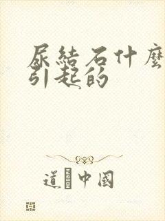 尿结石什么原因引起的