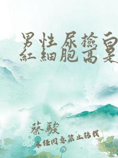 男性尿检白细胞红细胞高是怎么回事