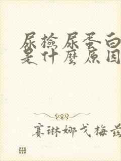 尿检尿蛋白1十是什么原因