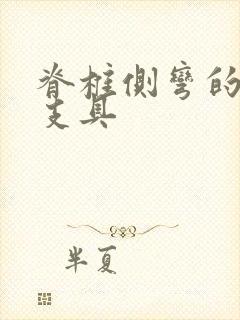 脊椎侧弯的治疗支具