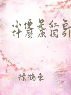 小便是红色的是什么原因引起的