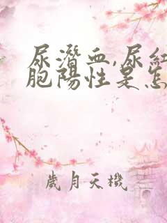 尿潜血,尿红细胞阳性是怎么回事