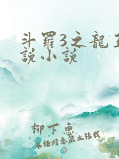 斗罗3之龙王传说小说