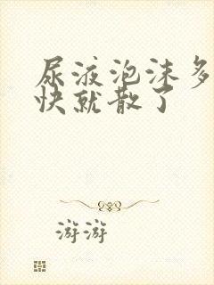 尿液泡沫多但很快就散了