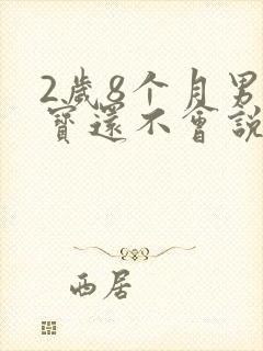 2岁8个月男宝宝还不会说话