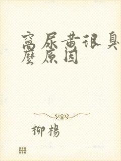 窝尿黄很臭是什么原因