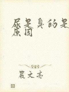 尿是臭的是什么原因